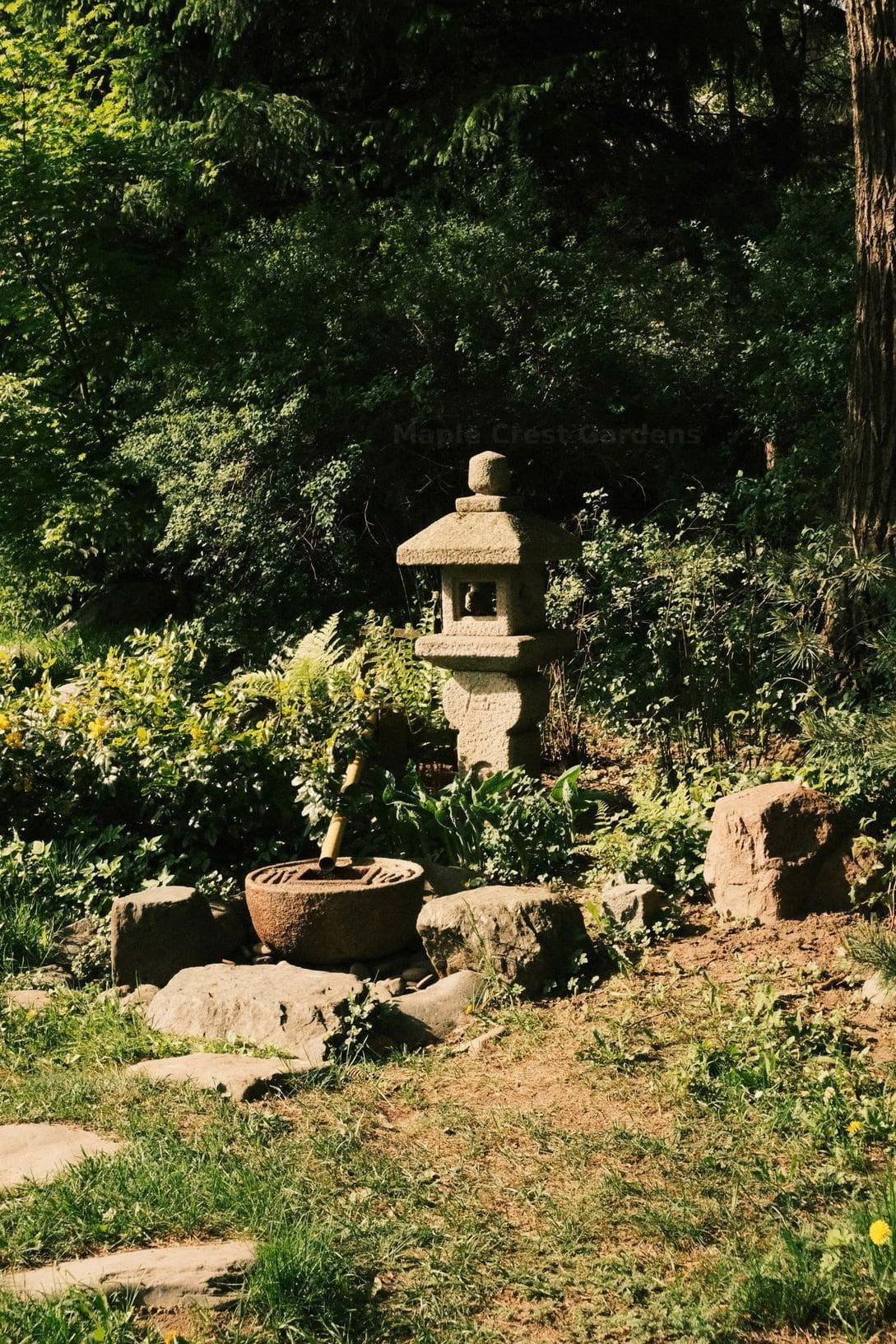Choosing the Right Plants for a Low-Maintenance Landscape