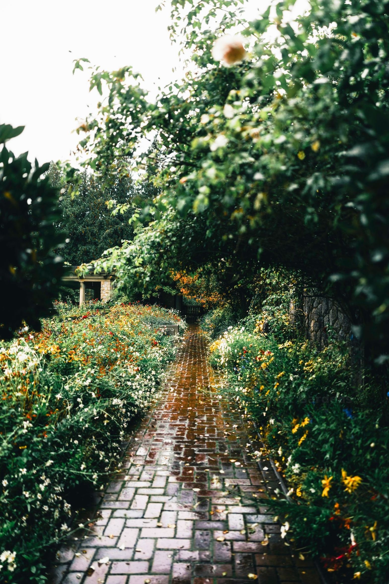 Maple Crest Gardens