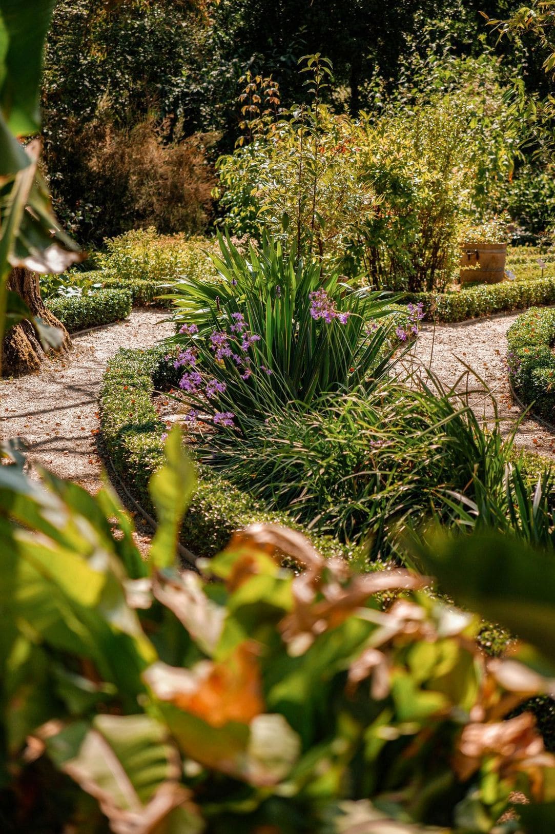 Lawn care and edging