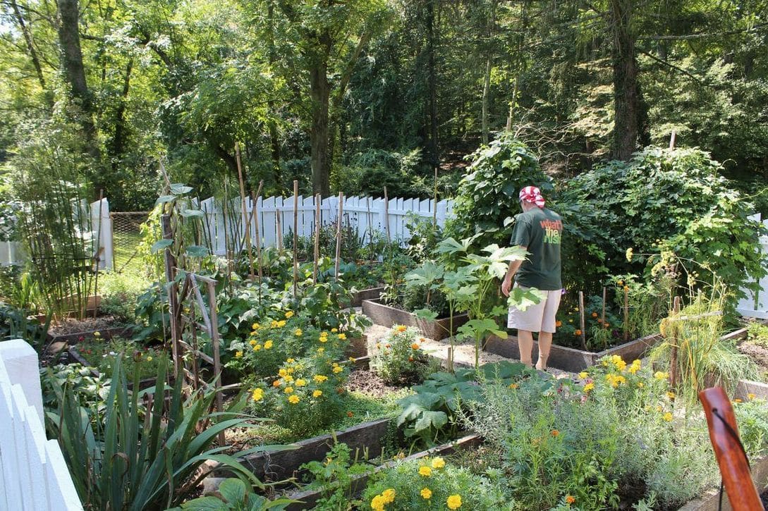 Seasonal cleanups and leaf removal
